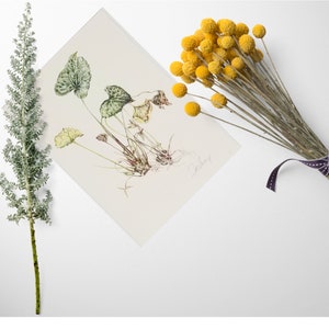 Cartão botânico cartão de nota em branco cartão floral arte ilustração cartão de casamento giclée premium arquivamento flor estacionária feriado