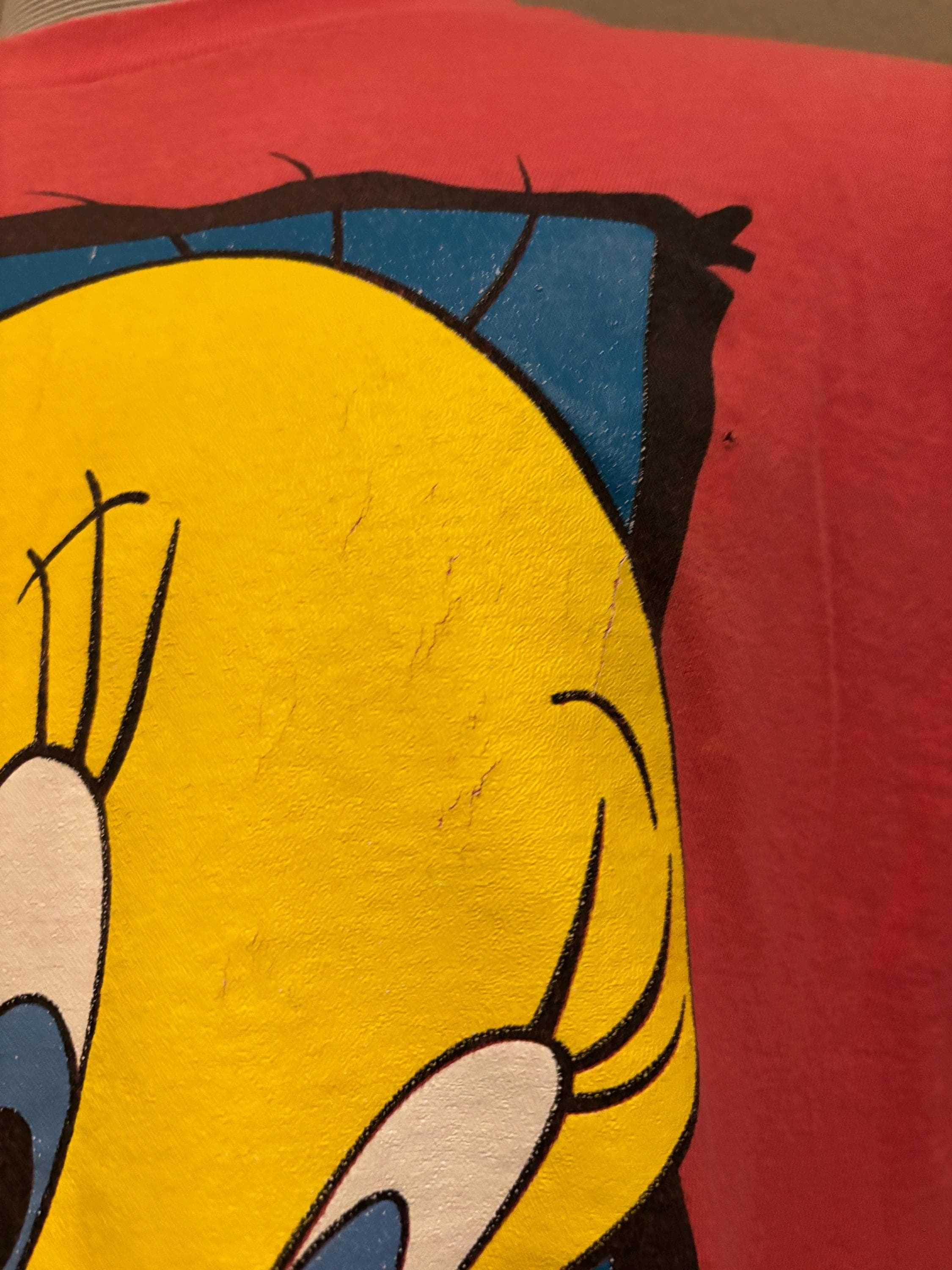 Vintage 90's Warner Bro's Looney Toons Tweety Bird Six Flags Theme