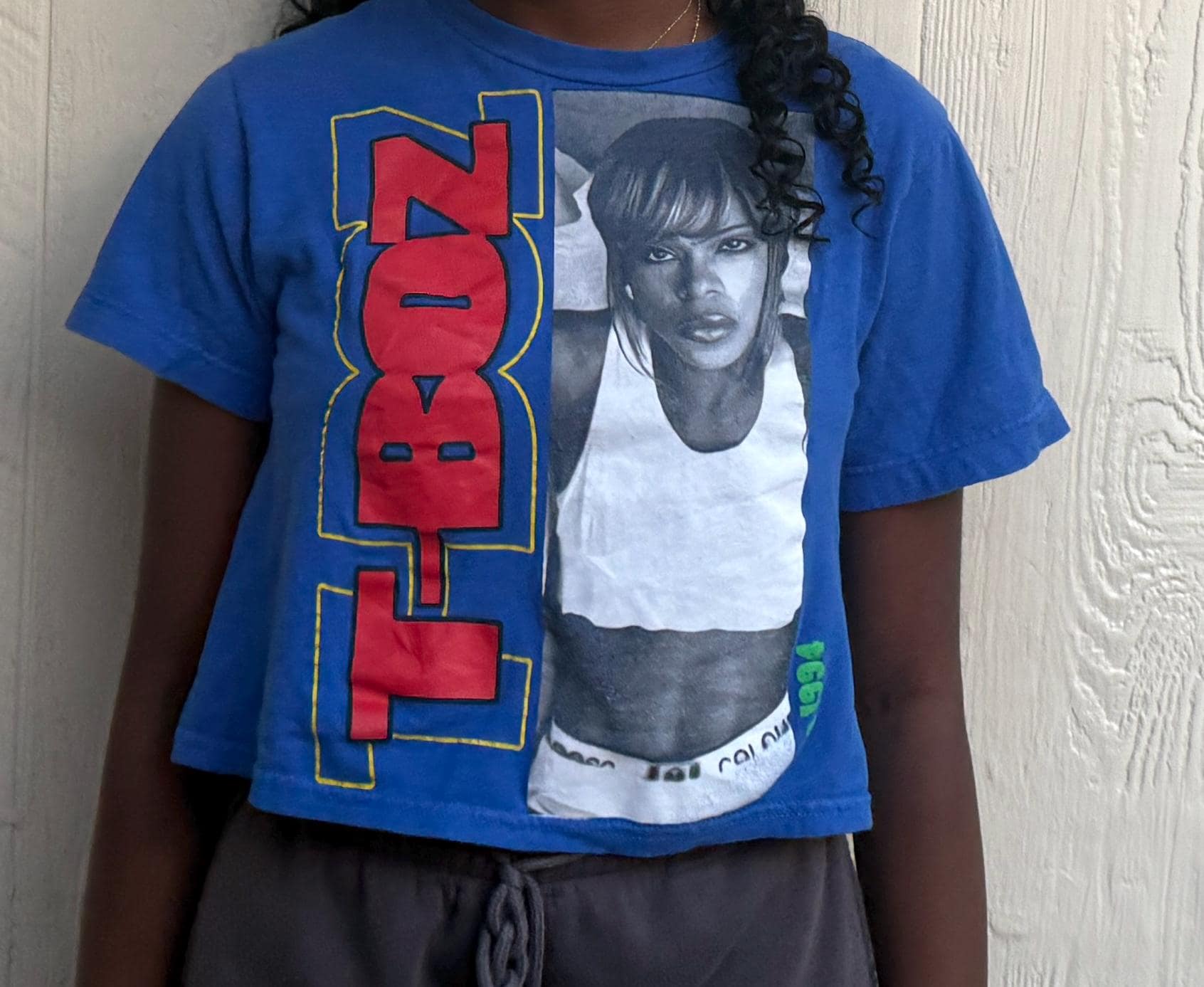 Vintage 2000s TLC T-boz Cross Colours Blue Crop-top T Shirt