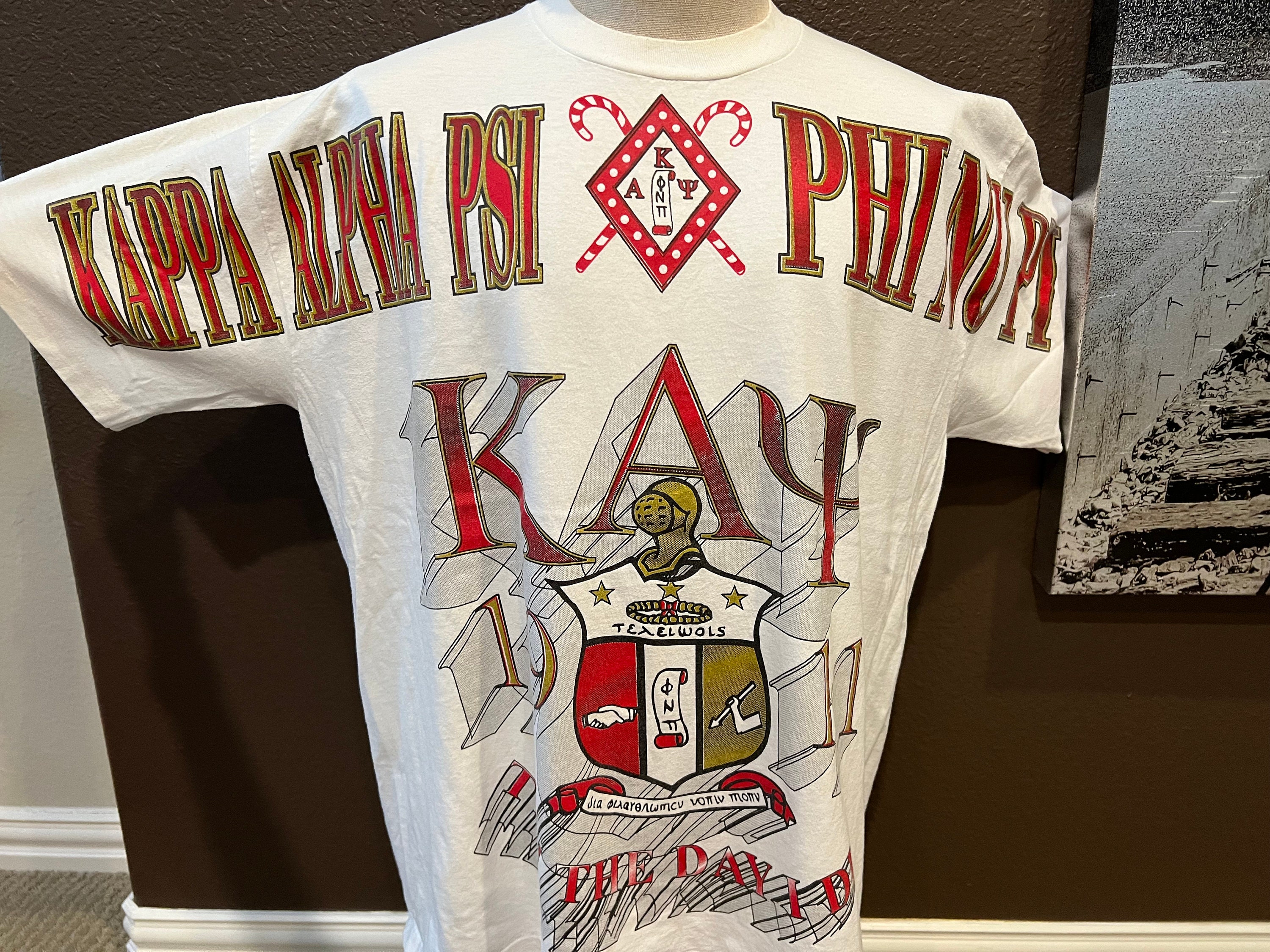 jeg er syg sikkert Orphan Vintage 90's Kappa Alpha Psi Phi Nu Pi Greek Life - Etsy