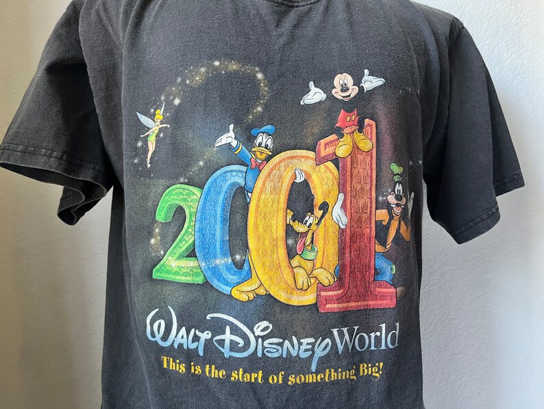 Puede incluir: Camiseta negra con un gr&aacute;fico colorido de Mickey Mouse, Donald Duck, Goofy y Campanilla celebrando el 2001 en Walt Disney World. El texto "This is the start of something Big!" est&aacute; impreso debajo del gr&aacute;fico.