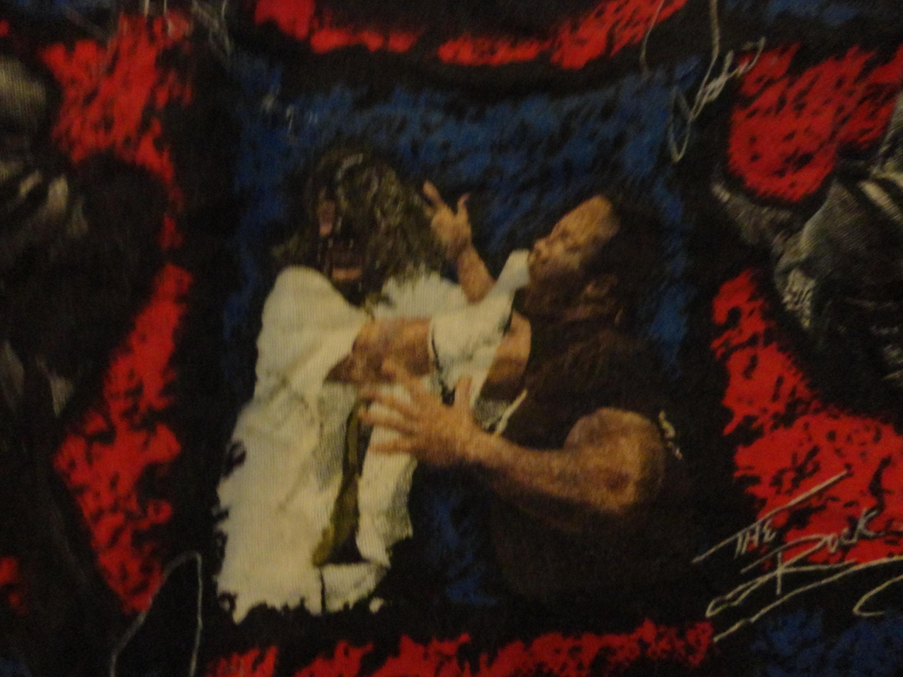 Vintage WWF Stone Cold Steve Austin the Rock Kane Fitted Twin