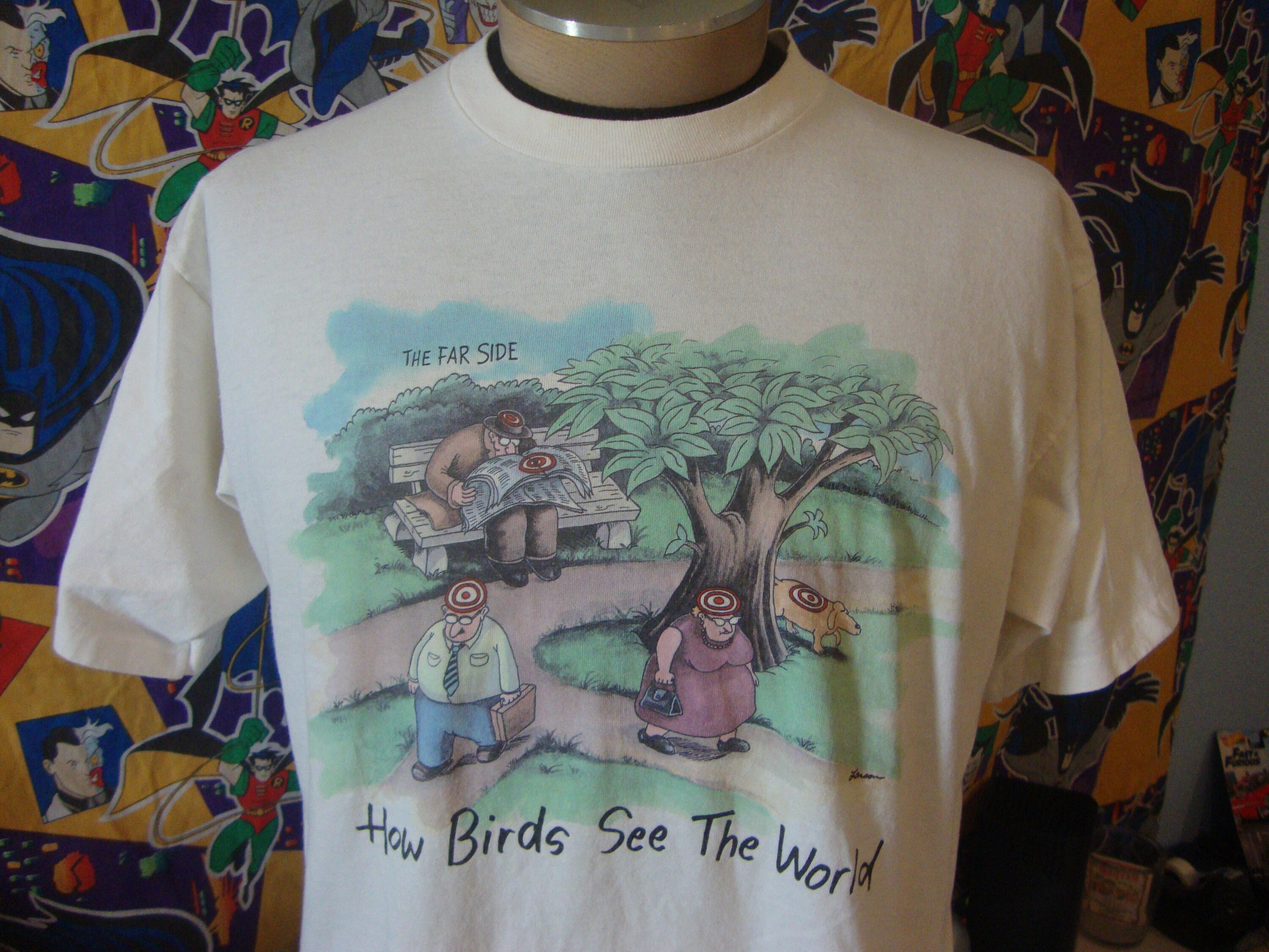 Far Side How Birds See the World 