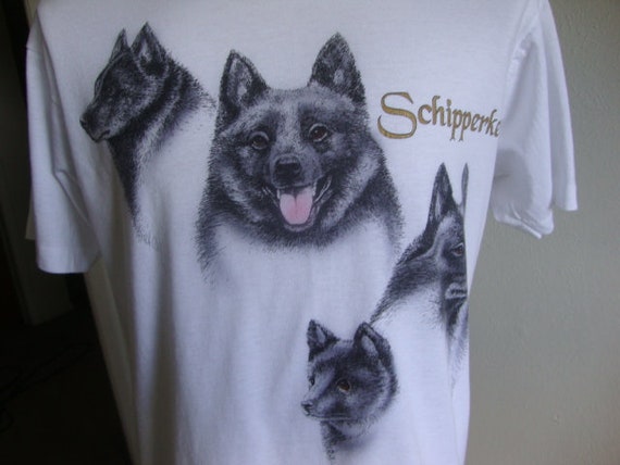 white schipperke dog