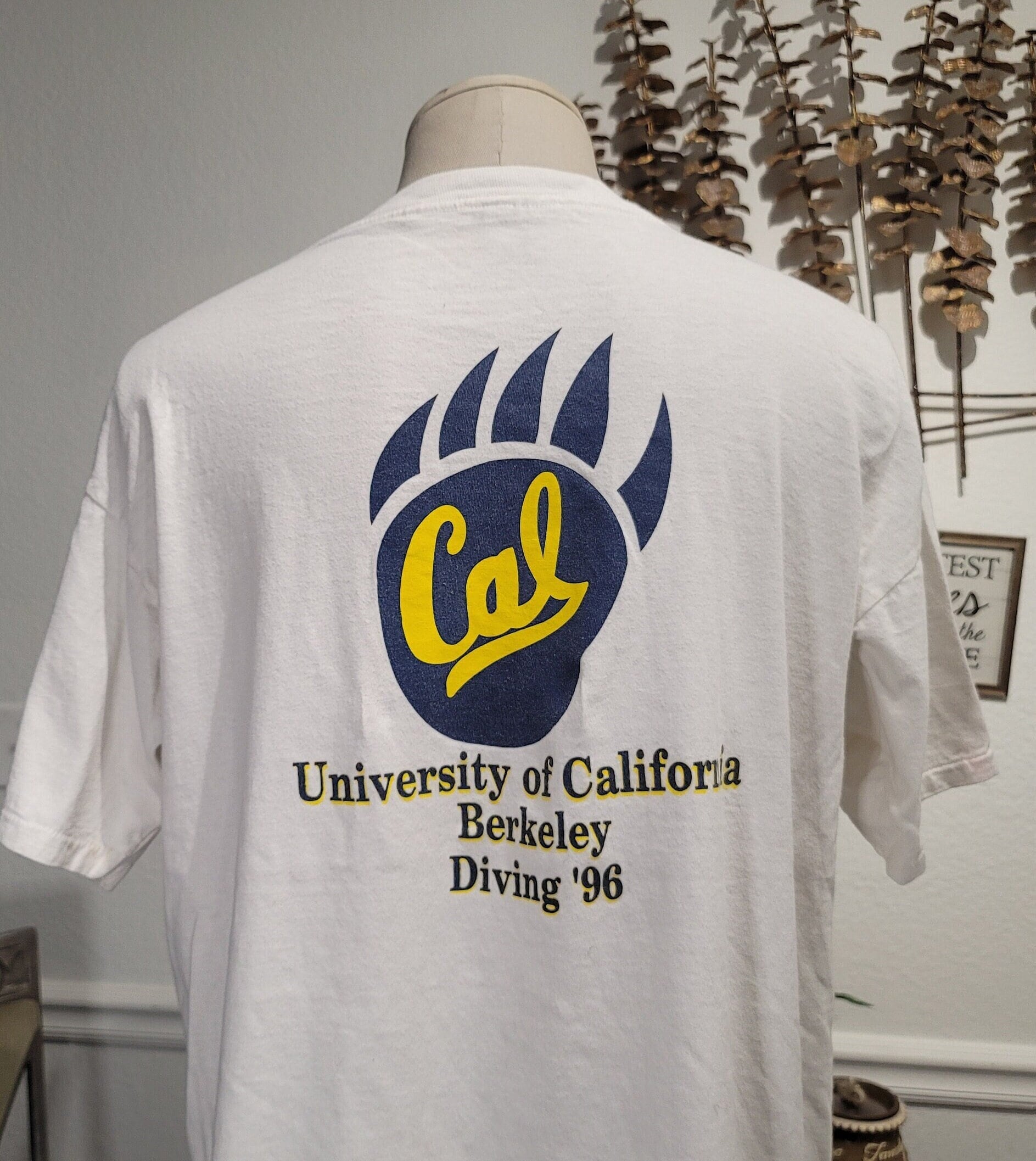 Vintage 90s University of California Berkeley Diving CAL 1996 