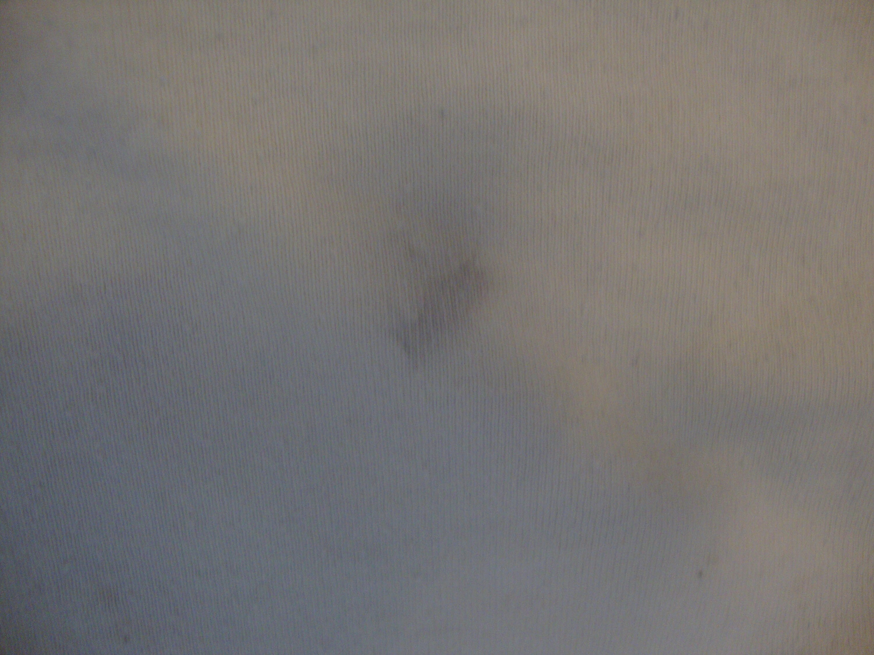 Vintage 90's Tess Corners Wisconsin White T Shirt Size L Etsy