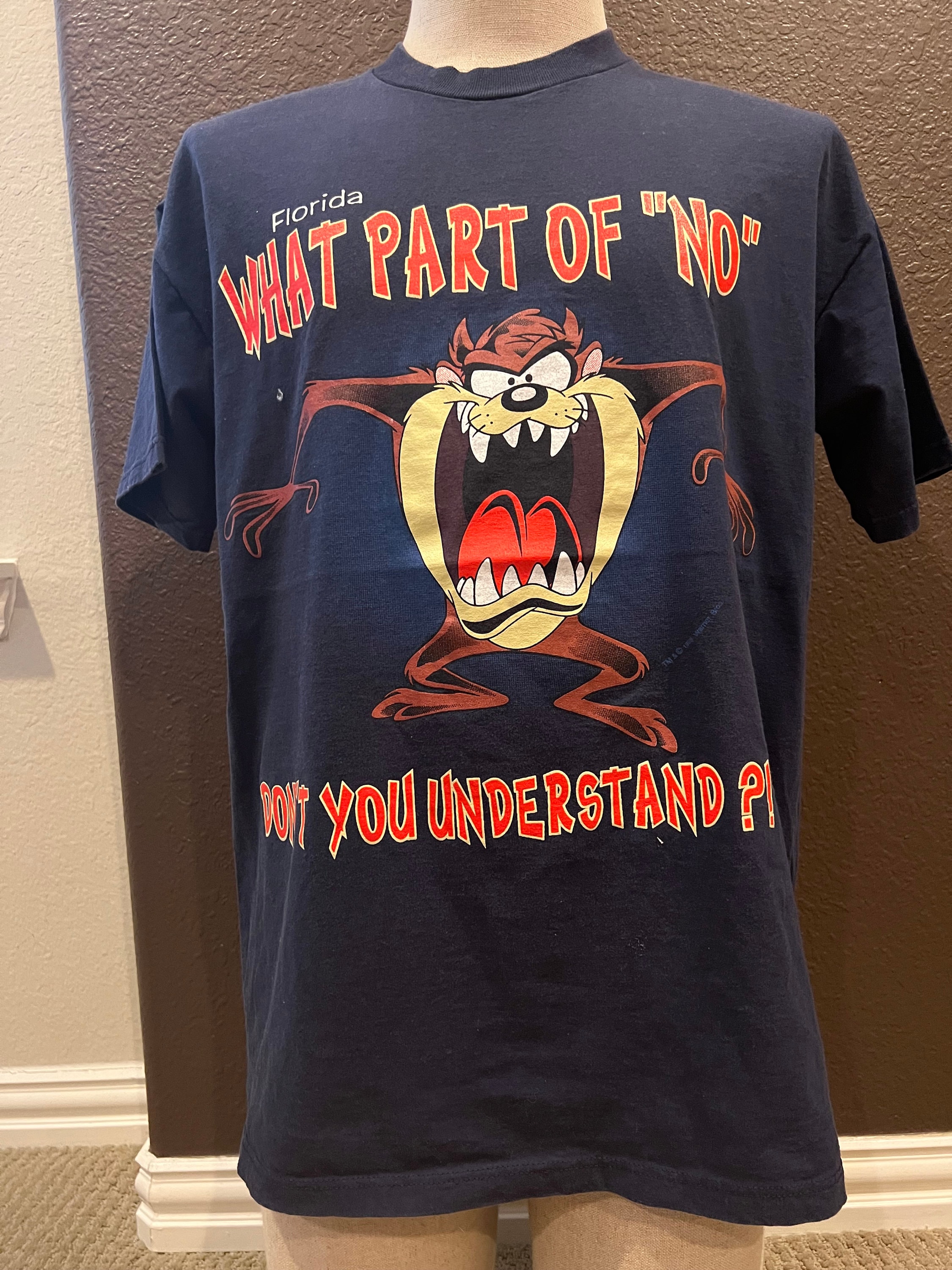 Vintage 90's Taz Devil Looney Tunes Florida Blue T Shirt Size L - Etsy