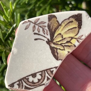 May include: A white ceramic shard with a brown and yellow butterfly design. The butterfly has a yellow body and brown wings with a floral pattern. The shard has a brown border with a floral design.