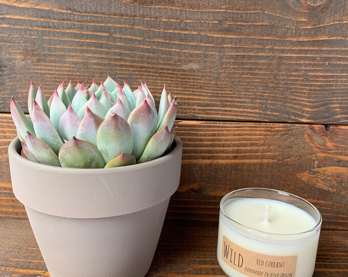 4 ounce soy candle