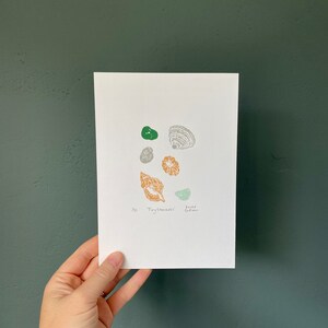 May include: A white card with a hand-drawn illustration of seashells and stones in shades of green, brown, and orange. The card is signed "Tiny Treasures" and "Kacey Oberlin".