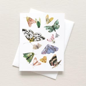 Carte de correspondance papillons et mites