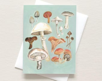 Pilz Studie Note Card