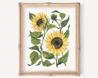 Impresión artística de acuarela de girasol / Impresión giclée de flores y botánica