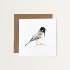 Carte pour correspondance Junco ardoisé