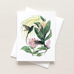 Carte pour les colibris à bec rouge
