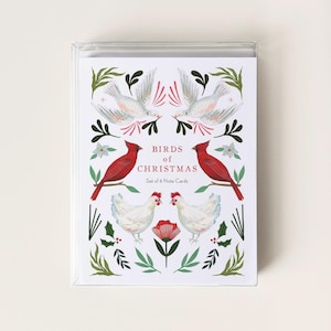 Lot de 8 cartes de correspondance pour les fêtes, paquet de cartes de voeux de vacances, cartes de Noël uniques, cartes oiseaux illustrées à la main, cartes de voeux de saisons