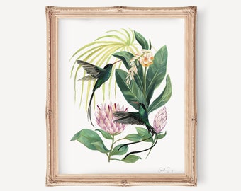 Red-Billed Hummingbird Giclée Art Print | Tropical Botanical Decor