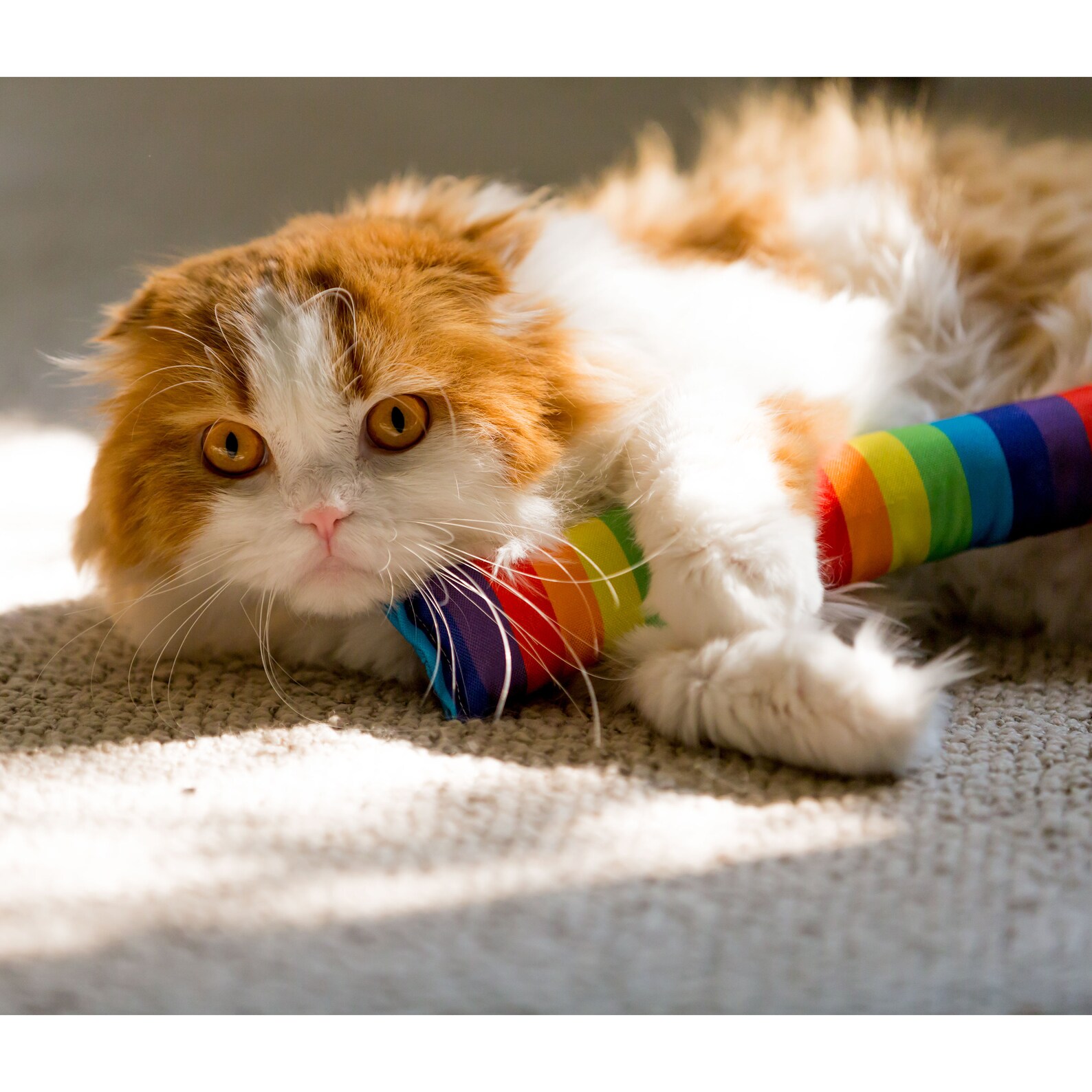 Youngever 4 Pack Cat Kicker Toys Kitty Kick Stick Catnip Cat Etsy