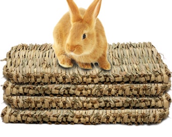 grass mat for bunny