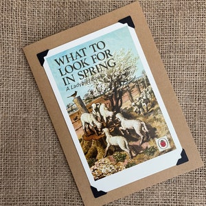 Handmade Birthday - Greeting Card. Ladybird Book Cover. What To Look For In Spring