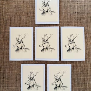 Pacote de 6 cartões de felicitações em branco desenhados à mão - STAG CARD