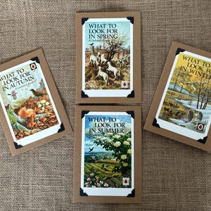 Confezione da 4 biglietti d'auguri per copertina di libro fatti a mano con coccinelle: cosa cercare in primavera, estate, autunno e inverno.