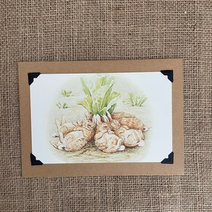 Biglietto d'auguri fatto a mano per compleanno - Beatrix Potter - The Flopsy Bunnies