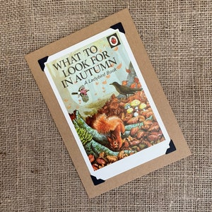 Biglietto di auguri di compleanno fatto a mano - Copertina del libro Coccinella. Cosa cercare in autunno