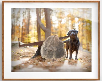 Black Lab Lumberjack Art Print: Rustic Cabin Decor