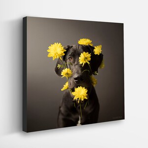 Flower Dog Art Print, Canvas | Vibrant Yellow Flowers Artwork | Nature-Inspired Dog Lover Wall Art | Animal Home Decor | Great Dane Art