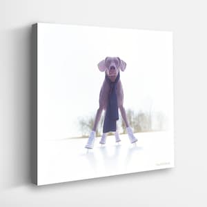 William Wegman Print - Etsy
