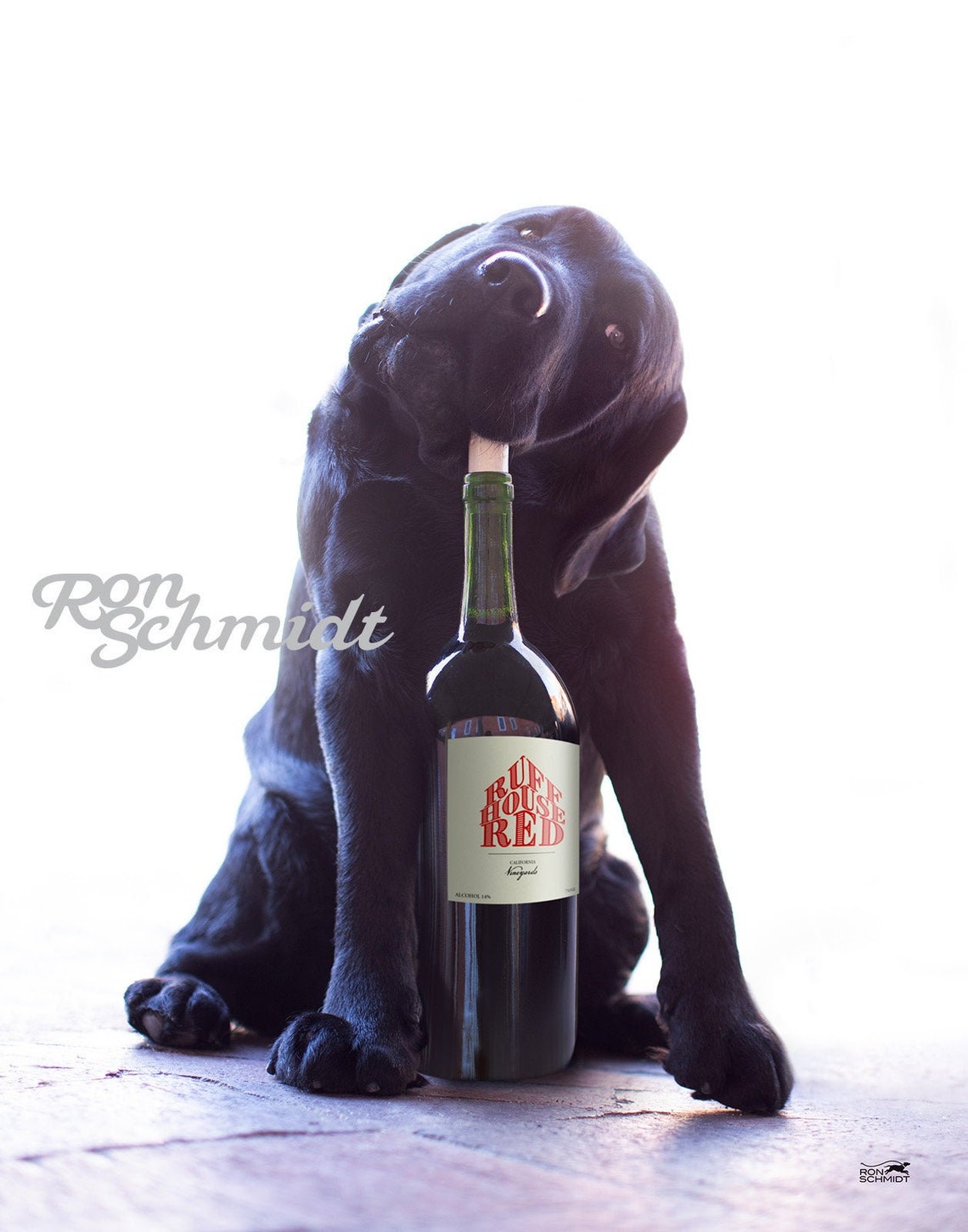 Black Labrador Black lab Wine Lover Labrador Art Dog | Etsy