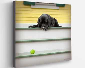 The Old Man - Sleeping Dog Art Print -  Labrador with Tennis Ball - Home Decor for Bedroom, Guest Room, Living Room - Unframed Print Artwork