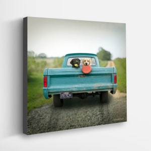 Canvas Print of Labrador Retrievers in Vintage Truck - Dog Lover Artwork - Home Wall Decor