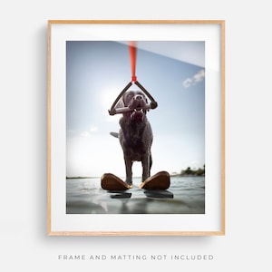Lake Life Dog - Waterskiing Labrador Unframed Art Print - Dog Lover Wall Home Decor Picture for Lake House, Cottage, Water Ski Summer Fun