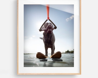 Lake Life Dog - Waterskiing Labrador Unframed Art Print - Dog Lover Wall Home Decor Picture for Lake House, Cottage, Water Ski Summer Fun