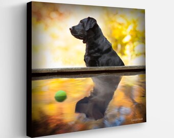 Fall Reflection Dog Canvas Art Print | Black and Yellow Labrador Artwork | Seasonal Wall Decor for Dog Lovers
