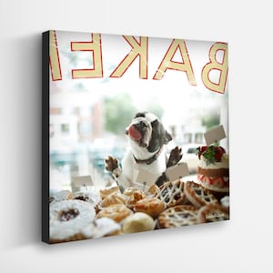 Bakery Dog Canvas Art Print | Boston Terrier Licking Window Print | Whimsical Dog Wall Decor | Fun Kitchen Artwork For Foodies, Bakers, Cook