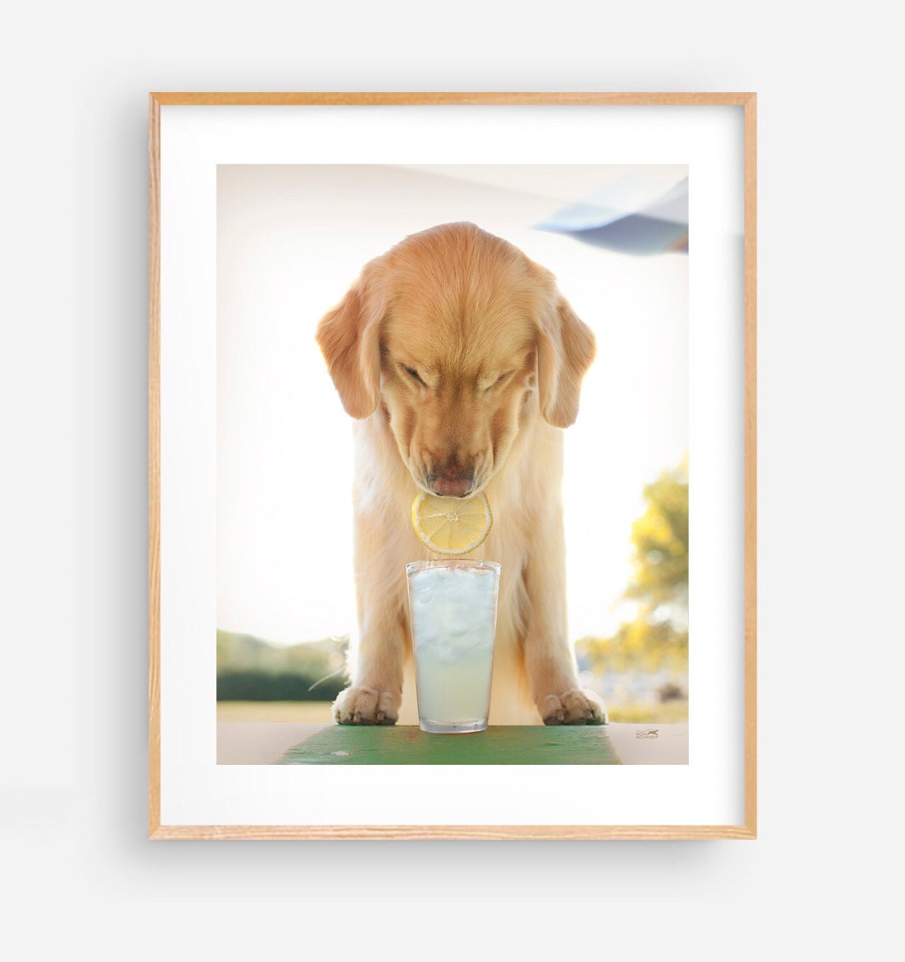 Vintage Perro Figura Golden Retriever Labrador Cerámica Perro Amantes Regalo - España