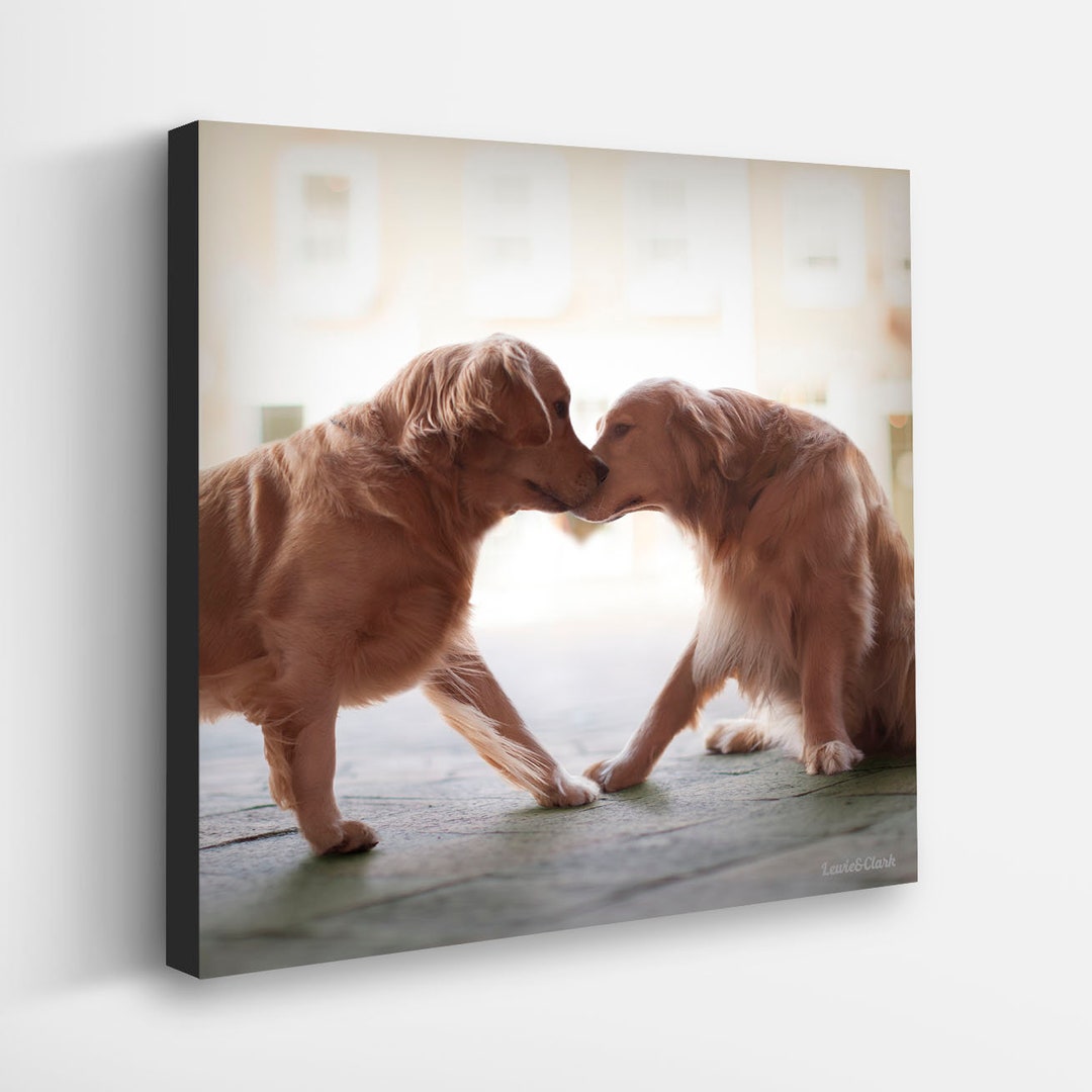 Golden retriever canvas wall art cheap