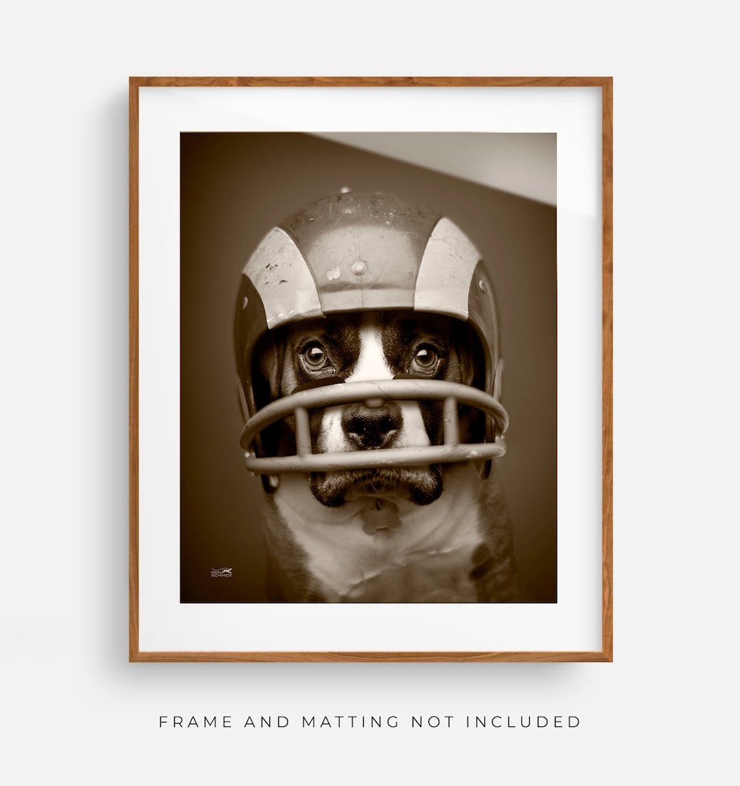 Football Dog Art Print: Ron Schmidt Sports Decor