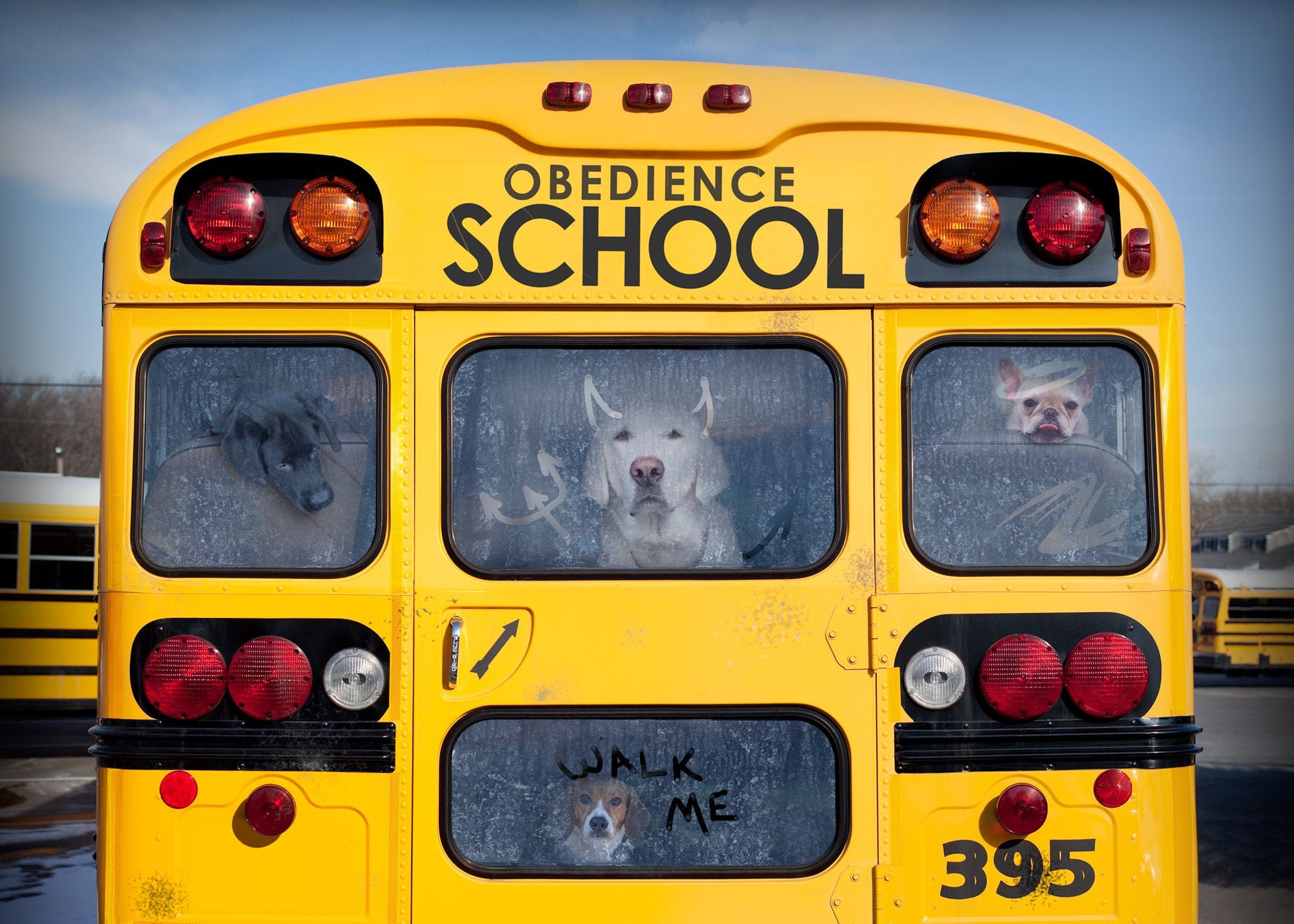 Dog School Bus Print & Canvas Wall Art for Kid's Room Etsy
