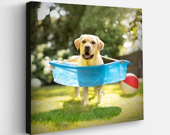 Summer Fun Yellow Labrador Art on Print and Canvas  | Dog in Swimming Pool | Dog Lover Gift | Home Decor for Bedroom, Nursery - Animal Art