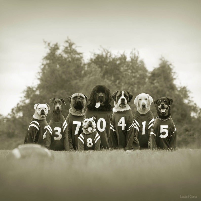 Football Dog Team Art Print Wall Art for Boys Bedroom Man Etsy