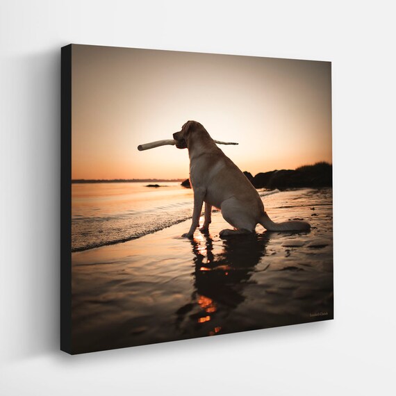 Sunset Beach Dog Art Print and Canvas Yellow Labrador Retriever