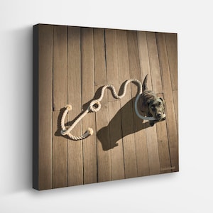 Anchor Dog Canvas Art Print - Black Labrador Artwork for Beach House, Lake House - Bedroom, Entry, Bathroom - Coastal, Nautical Wall Decor