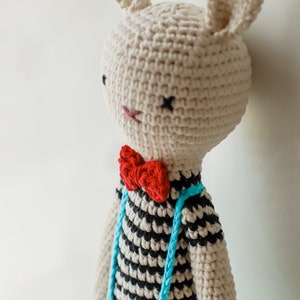 Häkeln Sie Hasen Spielzeug, Häkeln Sie Kaninchen, Amigurumi Kaninchen Spielzeug, Amigurumi Kaninchen, handgemachtes Kaninchen Spielzeug Bild 9