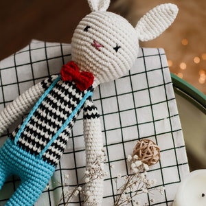 Häkeln Sie Hasen Spielzeug, Häkeln Sie Kaninchen, Amigurumi Kaninchen Spielzeug, Amigurumi Kaninchen, handgemachtes Kaninchen Spielzeug Bild 10