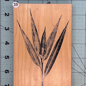 May include: A wooden stamp with a black and white illustration of a plant with long, narrow leaves.