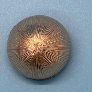 Scarf Clip Gold Dome Signed Western Germany vintage